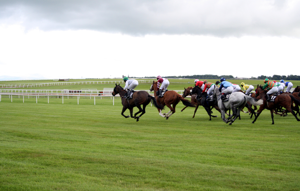 どのようにしたら競馬で勝つことができるのか