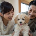 初めての動物との暮らし：迎える前に知っておきたい5つのこと